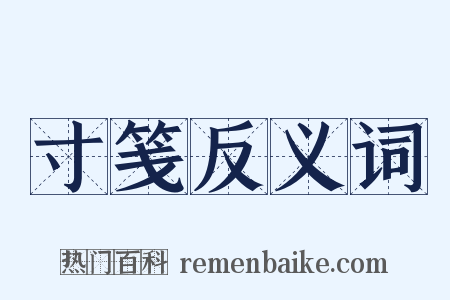 寸笺反义词是什么意思的图片